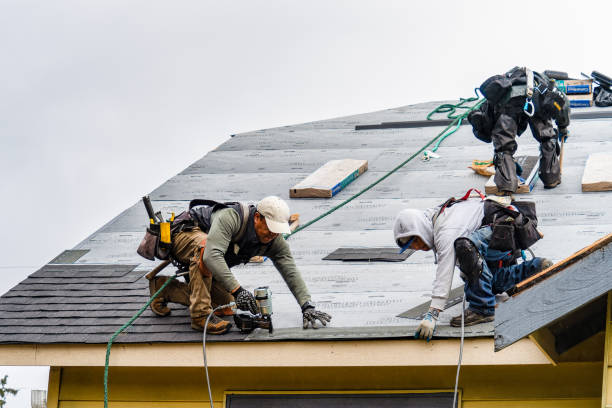 Professional Gutter Installation technician working in Beaumont, MS